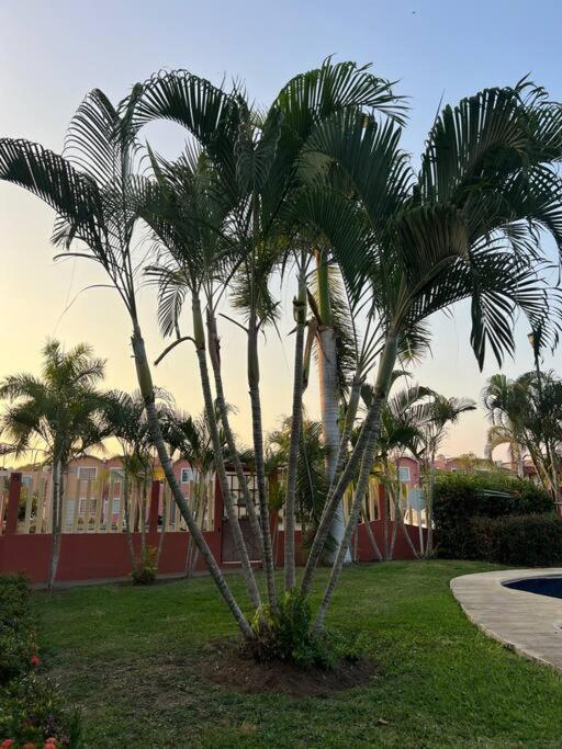 Casa Con Alberca A 8 Min De Playa Apartment Ixtapa  Exterior photo